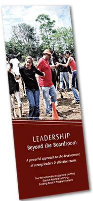 Equine-Assisted Learning Leadership beyond the boardroom brochure