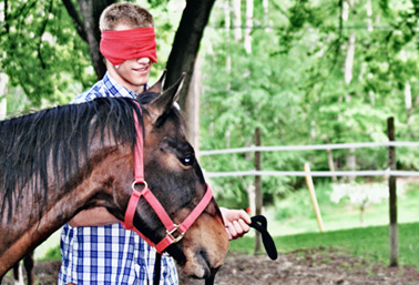Youth Equine-Asssted Programs Donations