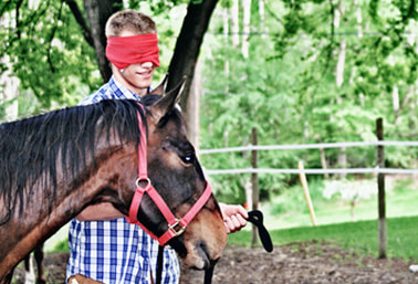 equine-assisted-learning-youth-programs