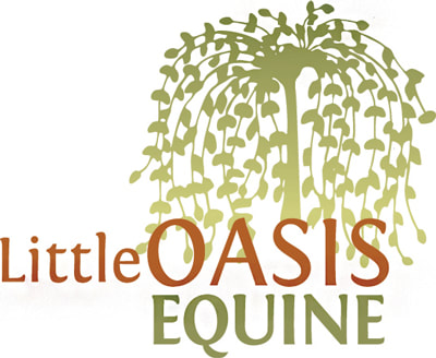 Little Oasis Equine Matters LOGO